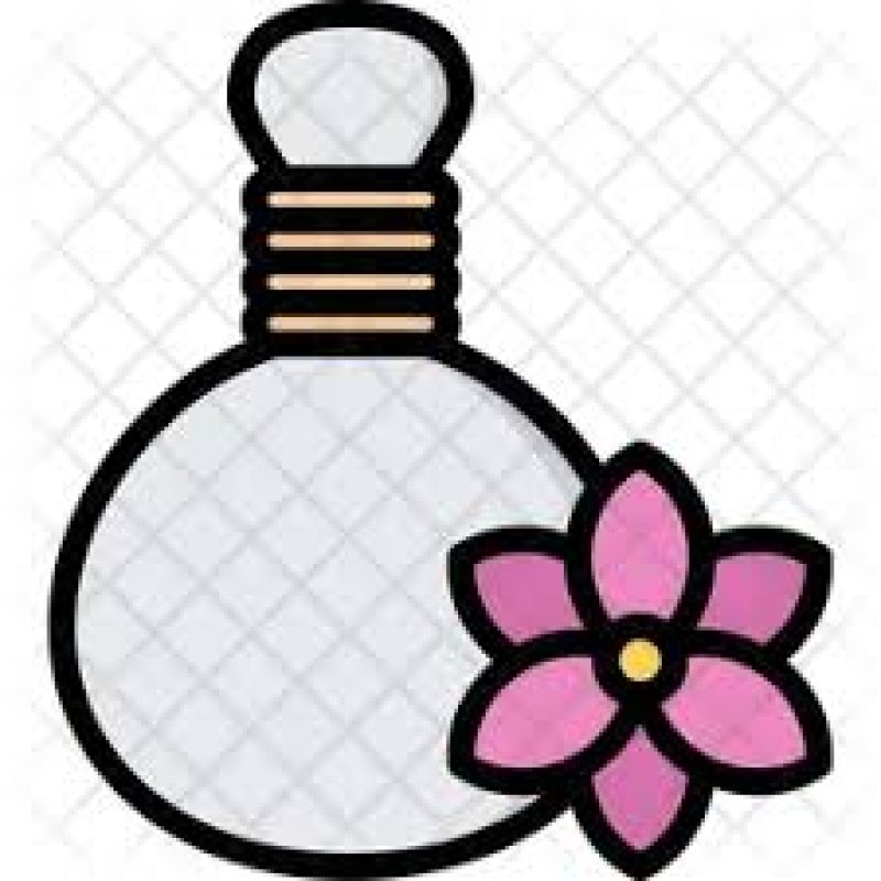 https://bristythaispabd.com/