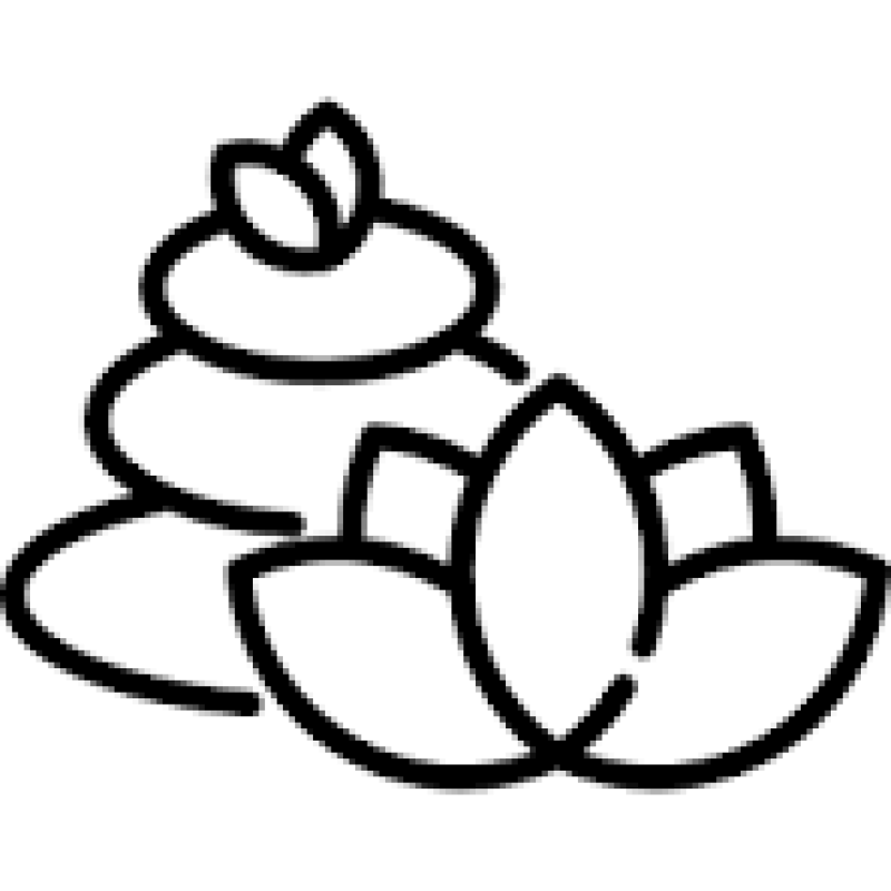 https://bristythaispabd.com/